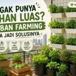 apa itu urban farming