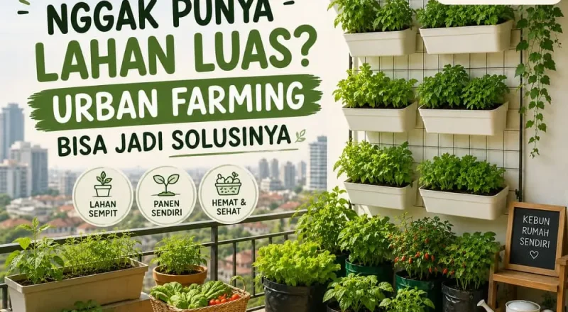 apa itu urban farming