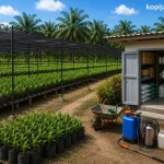 gudang penyimpanan di kebun pembibitan kelapa sawit